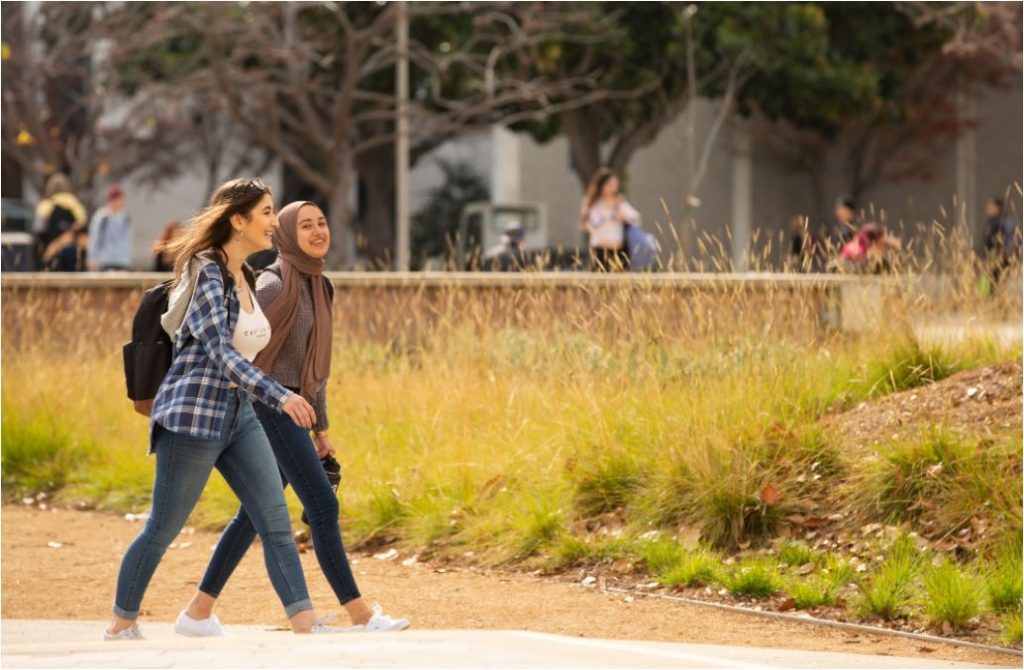 California State University Enrollment Reaches All-Time High - Vision ...